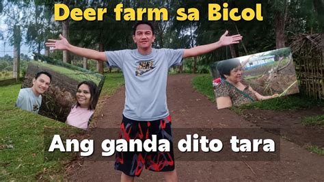 From Daet To Iriga Tara Sa Deer Farm Bicol Tour Part 2 Nhadcruz