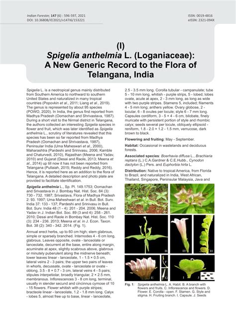 Pdf Spigelia Anthelmia L Loganiaceae A New Generic Record To The