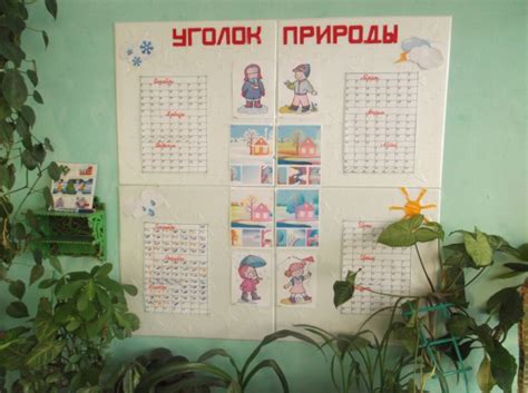 «Уголок природы» в подготовительной группе (1 фото). Воспитателям ...