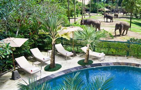 Ini Dia Hotel Dengan Taman Terbagus Di Bali Beliusaha