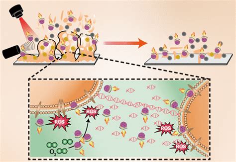 Near Infrared Light Propelled Mof Au Nanomotors For Enhanced