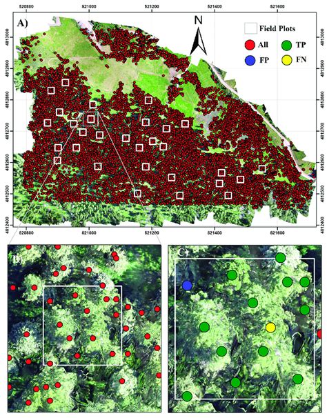 Individual Tree Detection From Uav Derived Canopy Height Model Chm Download Scientific