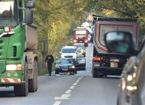 Ostholstein Zahl Der Wild Unf Lle Steigt In Der Region Stark An Shz