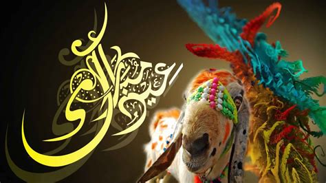 Bakra Eid Wallpaper Hd God HD Wallpapers