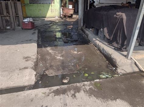 Mercado Malibrán de Veracruz con múltiples problemáticas por la basura