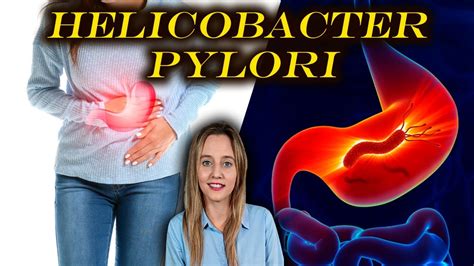 HELICOBACTER PYLORI TRANSMISIÓN SÍNTOMAS DIAGNÓSTICO Y TRATAMIENTO