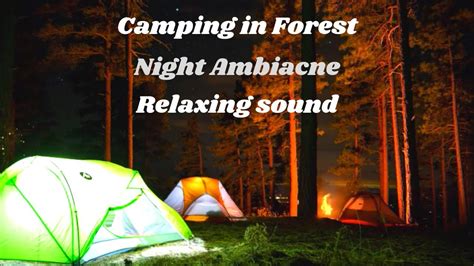 Night Ambience In Forest Camping Ambience Night Forest Sounds