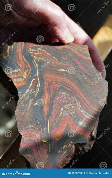 Hand Sample Of Pegmatite With Metric Ruler Stock Photo Cartoondealer