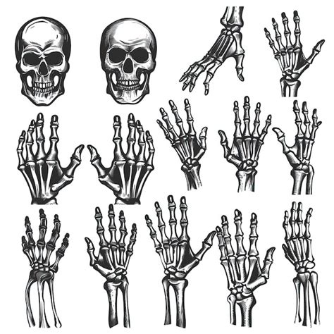 Skeleton Hands And Leg Elements Set For Halloween Design Premium Ai