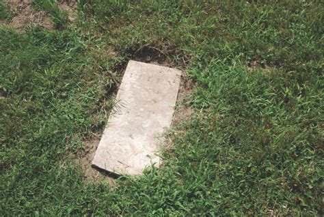 Survey Aims To Identify Map Burial Sites In Mound Cemetery News