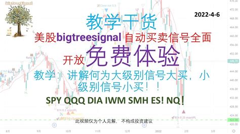 美股bigtreesignal 自动买卖信号全面开放免费体验 讲解何为大级别信号大买，小级别信号小买！！ Youtube