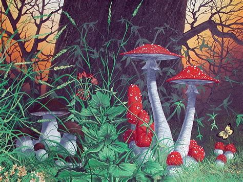 Amanita Muscaria Art