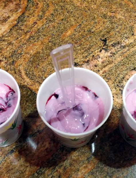 Berry Yogurt Ice Pops Easy