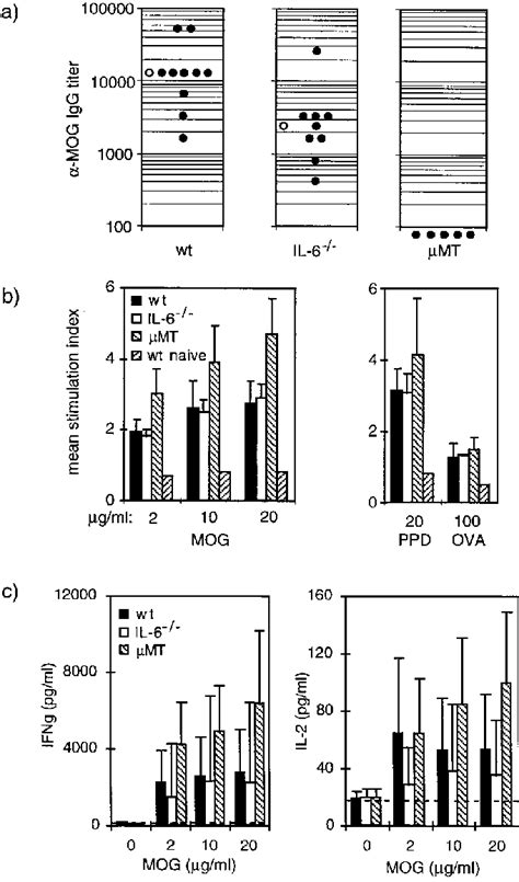 Mog Specific B And T Cell Responses Of Wt Il And Mt