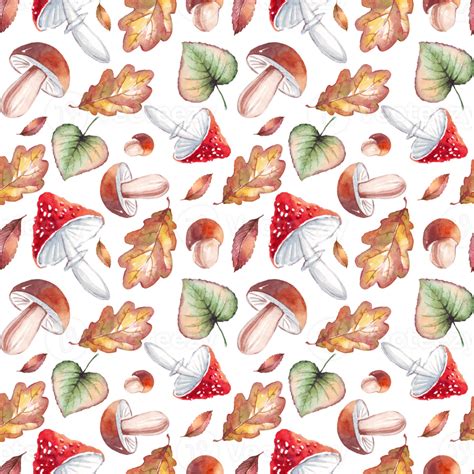 Mushrooms Seamless Pattern Watercolor Clipart 23364914 PNG