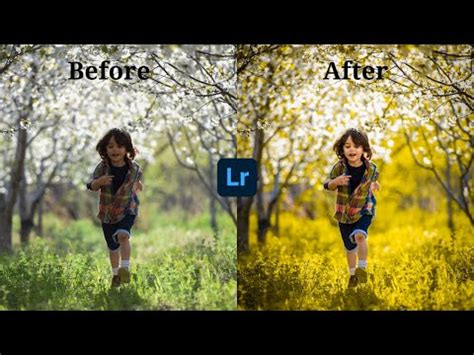 Lightroom Background Photo Editing Tutorial Free Preset DNG File