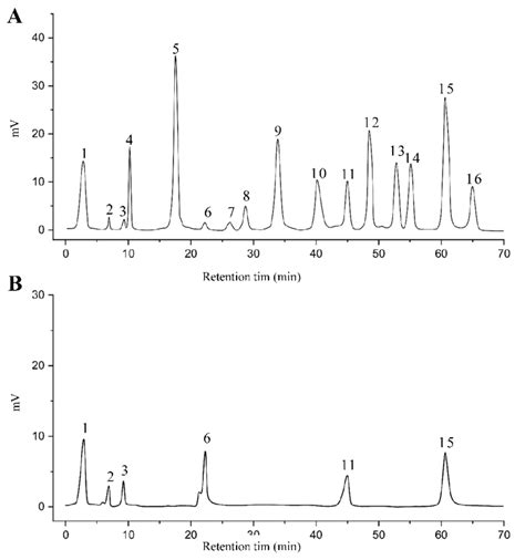 Hplc Chromatogram Of A 16 Available Polyphenol Standards And B Eaf