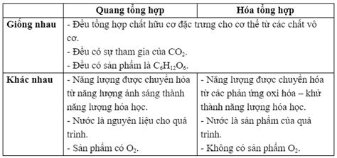 9 Nêu điểm giống và khác nhau giữa quang tổng hợp và hóa tổng hợp