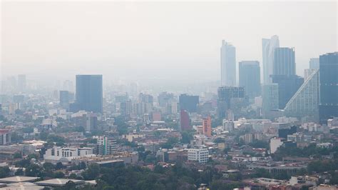 Estudio Reveló Que Los Bebés Pueden Sufrir Mutaciones Por Contaminación