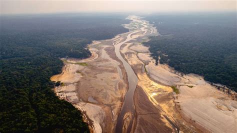 Mudanças climáticas agravaram seca do El Niño na Amazônia