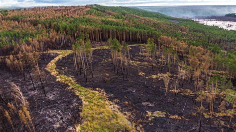 In Photos Disastrous Wildfires Sweep Siberia The Moscow Times