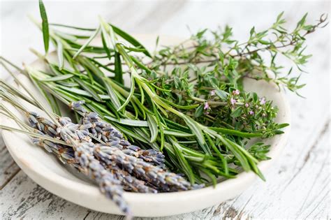 Les Herbes De Provence Consommer Pour Votre Sant