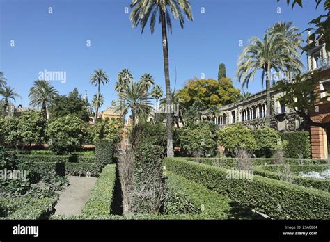 real alcazar garden seville stock photo alamy