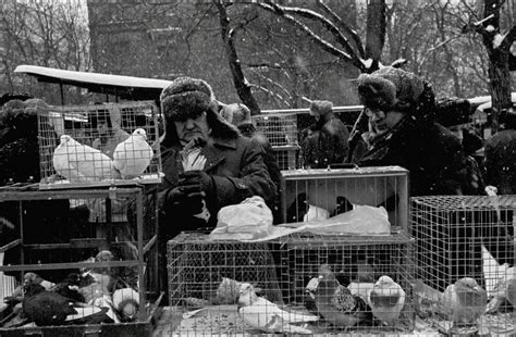 1980-е на снимках Игоря Стомахина. Часть 31. 1985. Москва. Птичий рынок ...