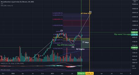 2021 BTC Blow Off Top Based On Historical Macro BTC Pattern For BNC