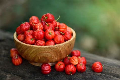 The Benefits And Research On Acerola Fruit Facty Health