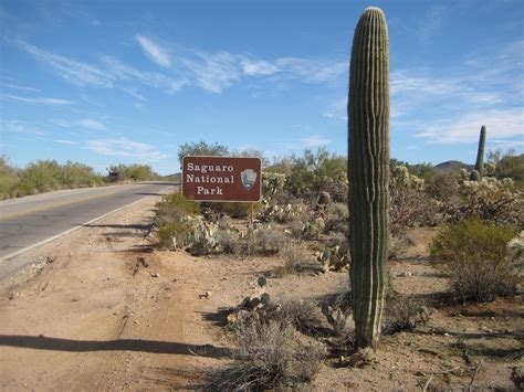 Saguaro National Park West