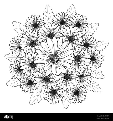 Daisy Flower Daisies Outline Vector Design In Detailed Line Art