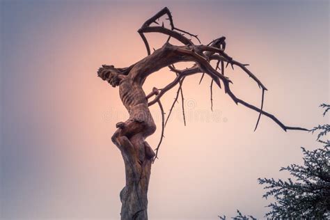 Christ`s Crucifixion Carved Into A Tree In Lebanon Stock Image Image