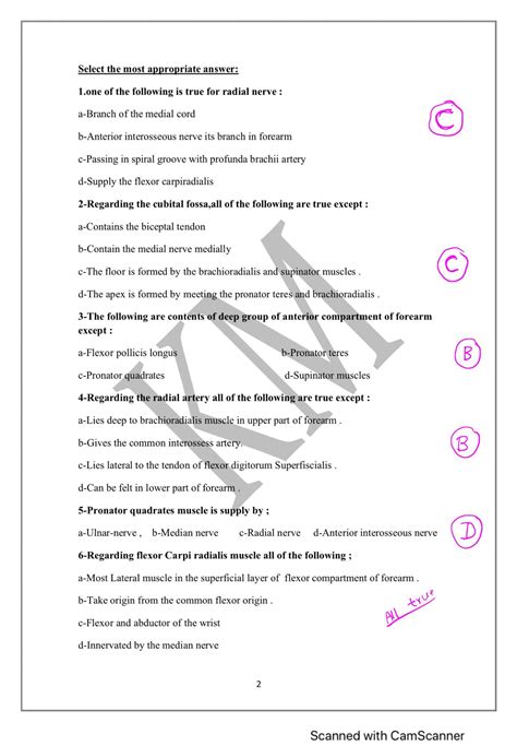 Mcqs Thorax Abdomen Pelvis And Perineum Anatomy 2 Studocu