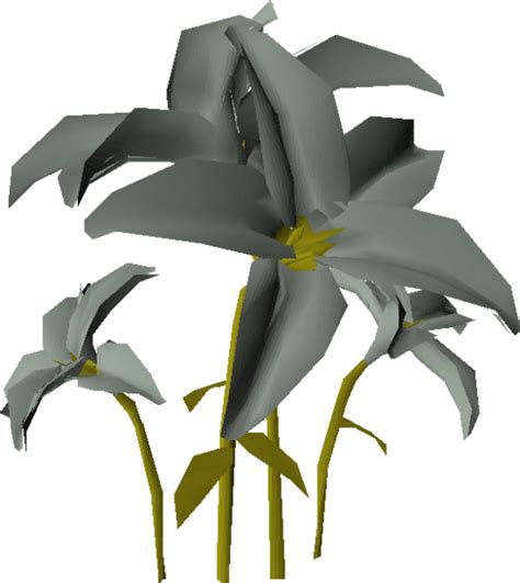 White Lily Plant Osrs Wiki