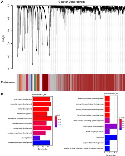 Frontiers Identification Of Key Genes With Differential Correlations