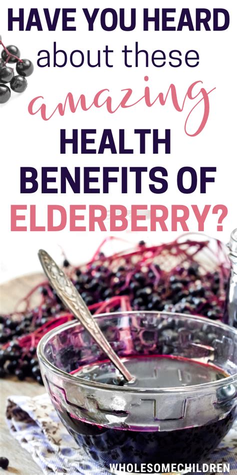 The Amazing Health Benefits Of The Elderberry Science Based