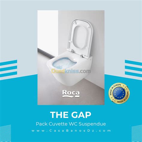 Cuvette Wc Suspendue The Gap Roca Rimless Alger Alg Rie