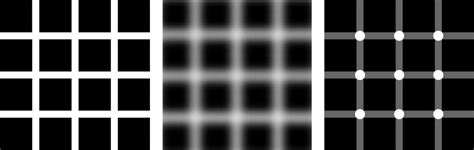 (a) Hermann grid illusion; (b) Bergen's illusion; (c) scintillating ...