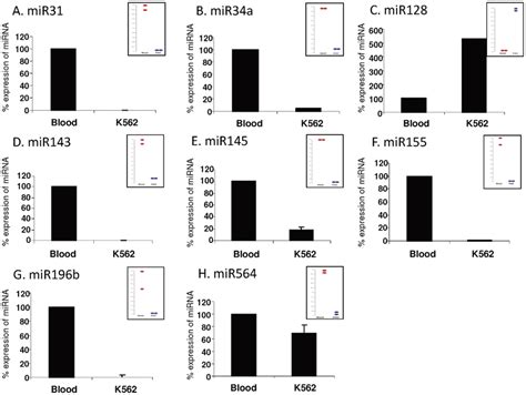 Real Time RT PCR Validation Of Microarray Results Presenting Changes