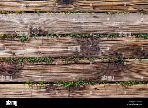 Los Tablones De Madera Con Textura De Pasto Playa De Madera Las