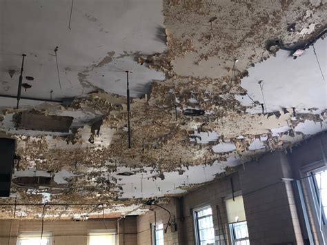 Resounding American Echoes Fort Howard Veterans Affairs Hospital