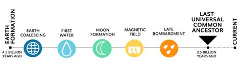 LUCA: Last Universal Common Ancestor - Earth How