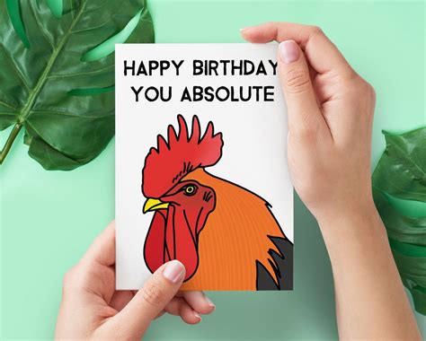 Absolute Cock Birthday Card Rude Birthday Card Funny Offensive