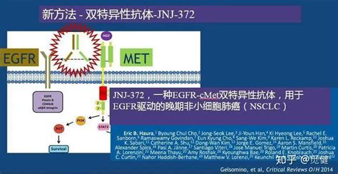 肺癌新突破！egfr耐药、罕见突变再迎新药，fda授予突破性疗法认定 知乎