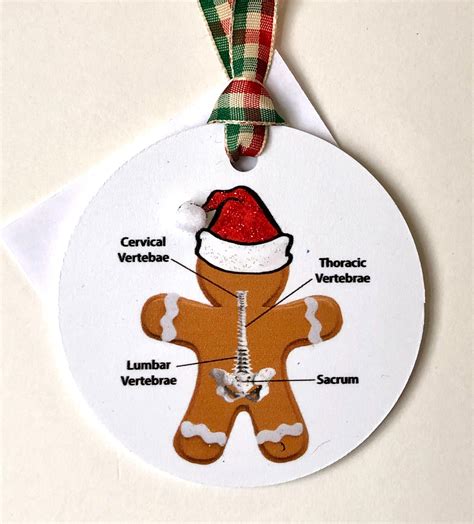 Urologists Holiday Medical Ornaments Etsy