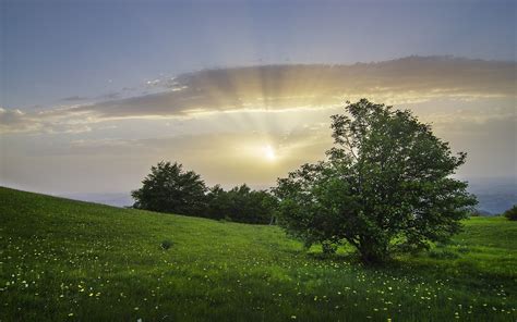 Fondos de pantalla luz de sol Árboles paisaje bosque puesta de