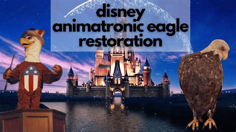 Disney Animatronic Eagle Restoration 1 2 YouTube