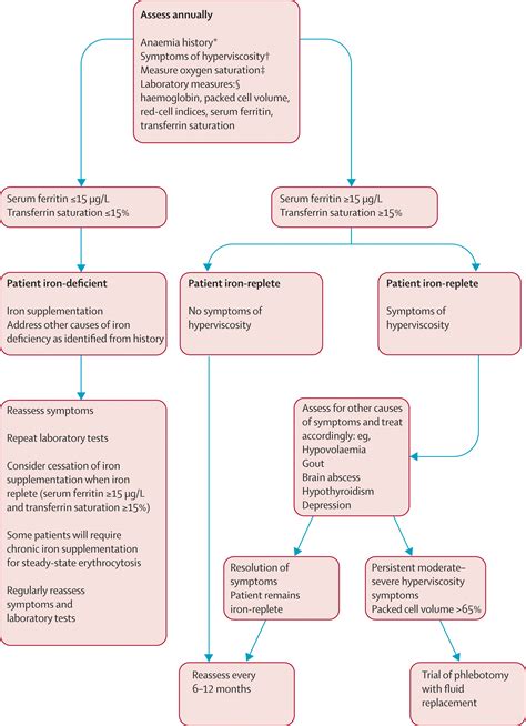 Clinical Update Cyanotic Adult Congenital Heart Disease The Lancet