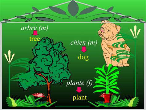 1 French Nouns 01 Ppt